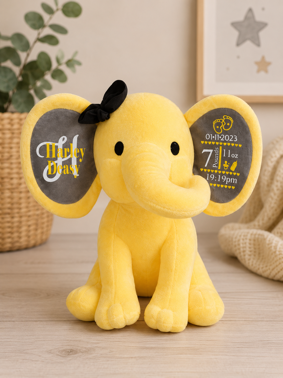 Birth Details Elephant Teddy