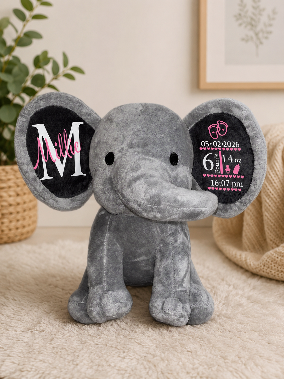 Birth Details Elephant Teddy