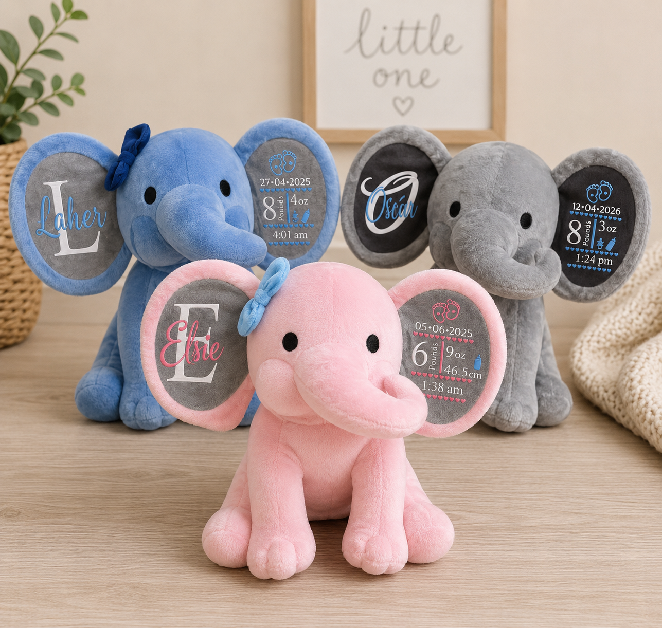 Birth Details Elephant Teddy