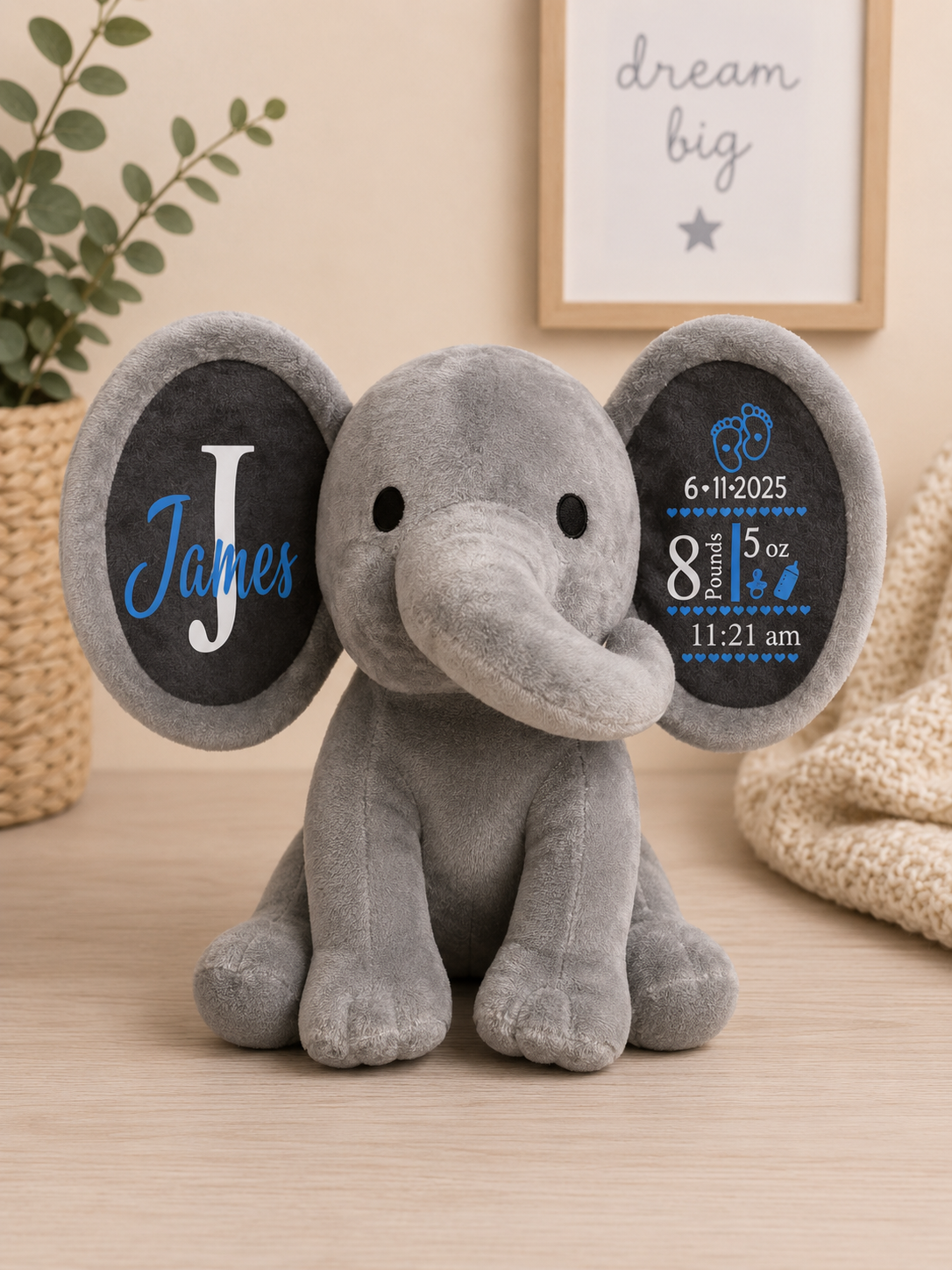 Birth Details Elephant Teddy